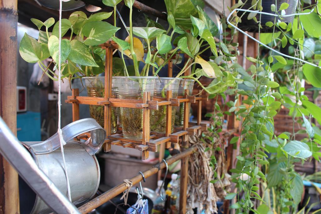 Baan Arlhan Chiang Mai Luaran gambar